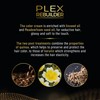 Alfaparf Milano Il Salone Plex Rebuilder Color Kit 6.77 Biondo