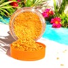 2 Packs - Roasted Shrimp Salt Chili Powder - Muoi