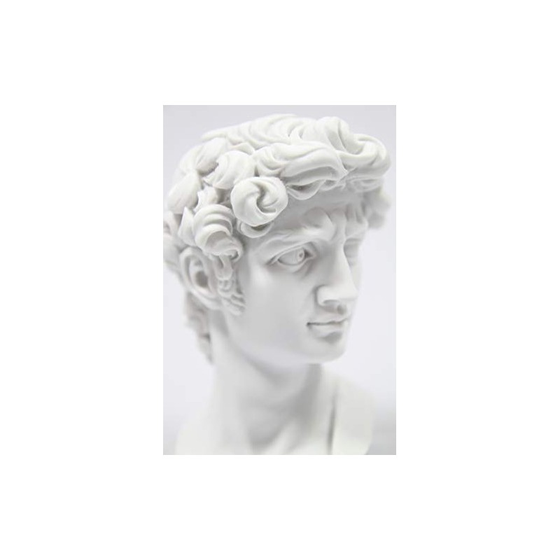 Vittoria Collection Classic Head Bust of David by Michelangelo Statue