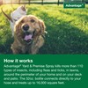 Advantage Yard & Premise Spray | Kills Fleas & Ticks