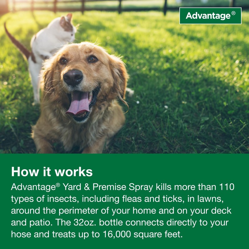 Advantage Yard & Premise Spray | Kills Fleas & Ticks