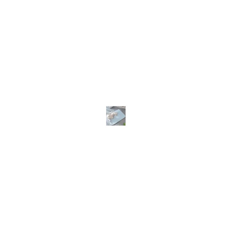 강아지쿨매트 고양이 여름 냉감 미끄럼방지 패드 방석 애견 반려동물 S-L