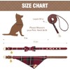 KOOLTAIL- Conjunto de collar y correa para perros pequeños con