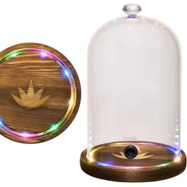 Generic Smoking Gun Accessory LED lights Glass Dome 10.2 x 5.5 Lid with Wooden Base  Lid