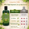 HIGH SUPREME Shampoo organic bergamot (16.9 fl oz) with aloe