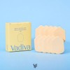Vadiva Refill Sponges (10-pack) / vadiva 리필붙여쓰는 스펀지 10개입