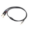 3.5mm 1/8 Inch Male to Dual 6.35mm 1/4 Inch TS
