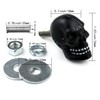 Bashineng Skull License Plate Screw 4 Pack Universal Cars Truck