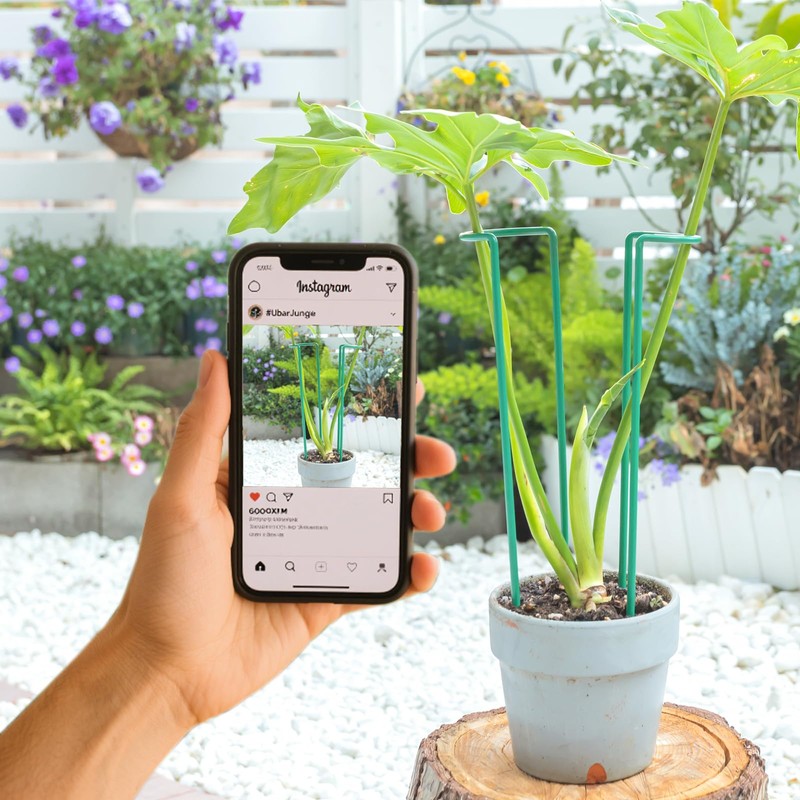 GOOOXIM Set of 10 Indoor Plant Support 12“- Durable U-Shape