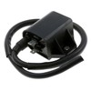 2EXTREME 12 V Ignition Coil for Benelli Pepe 50, Derbi