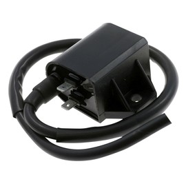 2EXTREME 12 V Ignition Coil for Benelli Pepe 50, Derbi Vamos, Italjet Formula 50 AC/LC