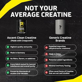 Ascent Polvo de monohidrato de creatina limpia, 0.18 oz por porción, suplemento de creatina Creapure - Sin sabor, 100 porciones