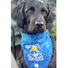 Salty Dog Bandana (Blue Tie Dye, Large (20-80 lbs))