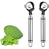 Cactus Peeler Tool, 2 Pack Stainless Steel Pelador de Nopales,