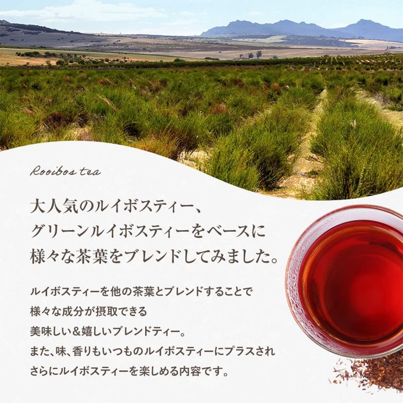 Yae Nadeshiko Rooibos Tea x 16 Types of Japanese Tea