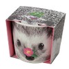 Seishin Pottery GD-85803 Home Garden, Easy Growing Kit, Mini Rose,
