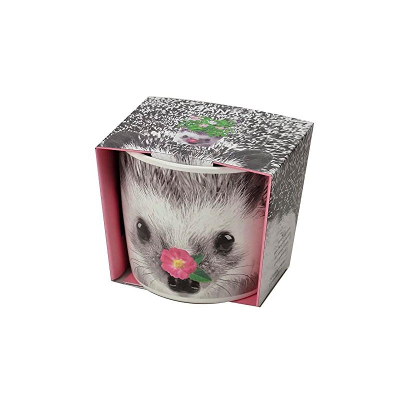 Seishin Pottery GD-85803 Home Garden, Easy Growing Kit, Mini Rose,