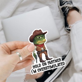 3 Pcs Hold On Partner I'm Overstimulated Frog Stickers Waterproof, Animal Cowboy Frog Funny Quote Stickers - Vinyl Sticker 3 Inches for Water Bottles Laptop Phone Car Window Helmet