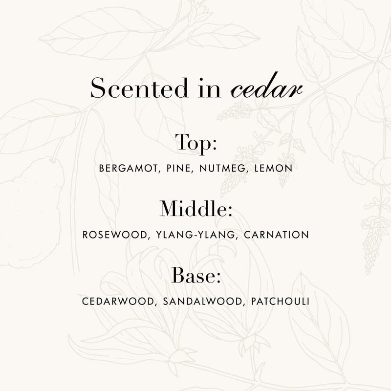 Wool & Cashmere Shampoo