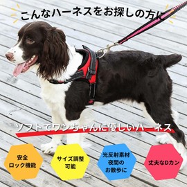 Pet Ground Dog Harness Cute, Stylish, Torso, Walking, Small Dogs, Medium-Sized Dogs, Large Dogs, Cats, Collar, Soft, Nylon, Night Reflective, PetGround (M, Red)