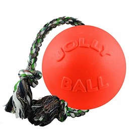 Jolly Pets Romp-n-Roll Rope and Ball Dog Toy, 4.5 Inches/Small, Orange
