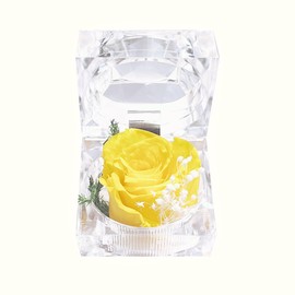 DoraMagic Preserved Rose Real Fresh Rose in Mini Clear Ring Box, Eternal Flower Rose Gifts for Women Mom Girlfriend Grandma, Mothers Day, Anniversary, Valentines, Christmas, Birthday (Yellow)