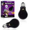 LUCKY HERP Reptile Heat Lamp 50W 2 Pack, Reptile Night