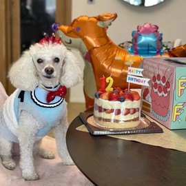 Elegant Crown Hat for Small Pets Crown Party Decorations Party Costume Outfit Accessories for Cats Kitten Small Dogs Rabbits