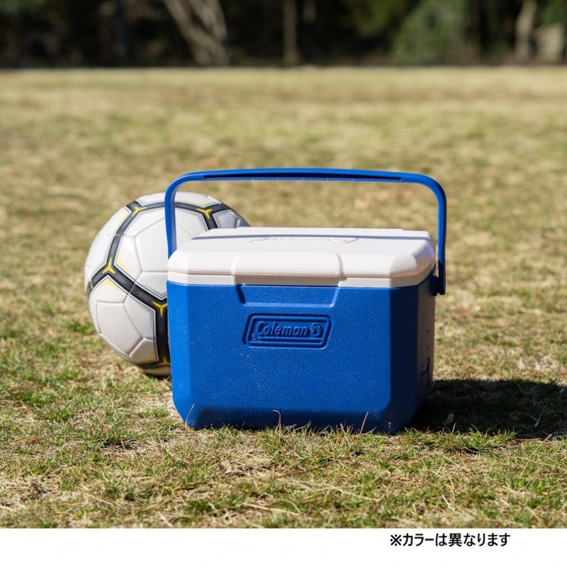 Coleman 2209460 Camping Hard Cooler, Take 6, Light Gray, 2024