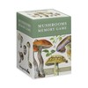 Mushrooms: Alexander Viazmensky Memory Game