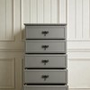LB-LAIBA Dragonfly Drawer Knobs Modern Dresser Pulls for Closet Cabinet