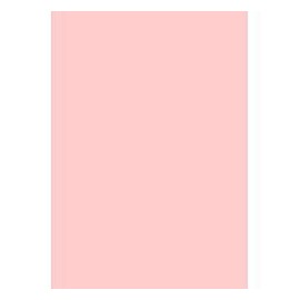 Fotokarton, DIN A4, 160 g/m², kräftiges Pink, 50 Blatt Originalverpackung rose