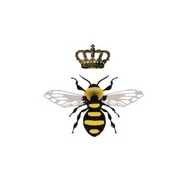 Set of 5 x Queen Bee Iron on Screen Print Fabric Applique Machine Washable Transfer Royal Bee
