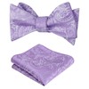 Alizeal Mens 2pcs Self-tied Paisley Bow Tie and Pocket Square