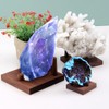 WAYUTO Walnut Crystal Display Stand Rock Display Holder Three-Peg Display