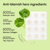 MAREE Pimple Patches for Face -Acne Clearing Device-Clear Acne Patches