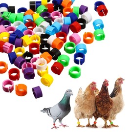 Widream Pack of 200 bird rings, pigeon rings, dove foot rings, dove clamping rings, bird identification ring, for bird, parrot, dove, quail, chick, bird identification foot ring (8 mm)