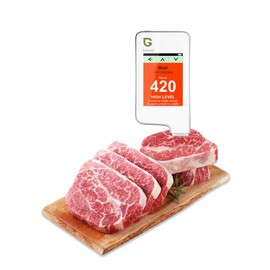GF2 Nitrate Tester for Fish Fruit Vegetable Meat Instant Read Digital Food Detector Nitrat Meter for Home Health