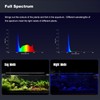 GLOWRIUM Aquarium Light, LED Freshwater Fish Tank Light with Timer,