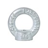 Zadery 1/4"-20 Lifting Eye Nuts, Drop Forged C15 Galvanized Threaded