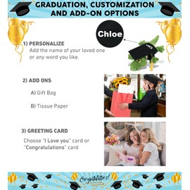 DolliBu Green Alligator Small Graduation Plush Toy - Super Soft Graduation Stuffed Animal Dress Up with Gown and Cap with Tassel - Graduation Gift with Personalization - 14 Inches