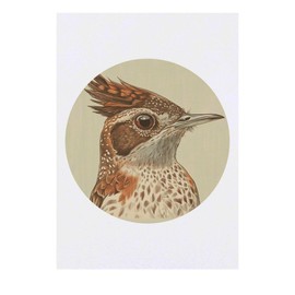 'Rufous Naped Lark' Temporary Tattoo - Water Resistant, Skin-Safe, Non-Toxic Transfer (TO00082213)