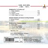 Nielsen: Symphonies Nos.1 & 6, Andante Tranquillo