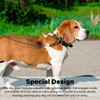 ZHOMA 4FT Chew Proof Metal Dog Leash with Comfortable Handle,