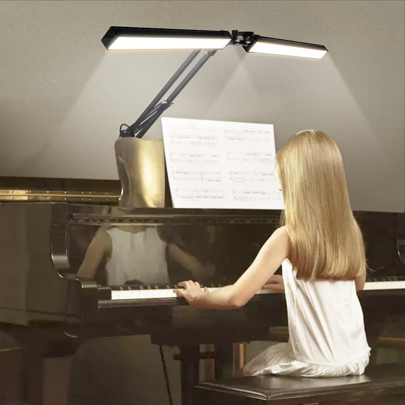 2-in-1 LED Double Head Desk Lamps for Home Office, 24W