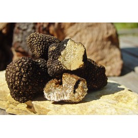 CEMEHA SEEDS - Black Truffle Mushrooms Non GMO for Planting Mycelium Spawn Spores