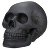 Black Skull Head Collectible Skeleton Decoration Statue