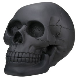 Black Skull Head Collectible Skeleton Decoration Statue