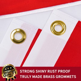 XIFAN Premium Switzerland Swiss Flag 3x3 Outdoor, Double Sided Embroidered Cross, Heavy Duty 210D Nylon Swiss National Country Flags, Longest Lasting with 4 Stitch Hemming/Brass Grommets