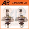 APUK Pair of Headlight Lamp Bulbs 12V Replacement for Ferguson